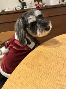 私は、発作性上室頻拍(不整脈)をもっています。のアイキャッチ画像