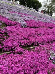 その動悸、心臓？それとも甲状腺？のアイキャッチ画像